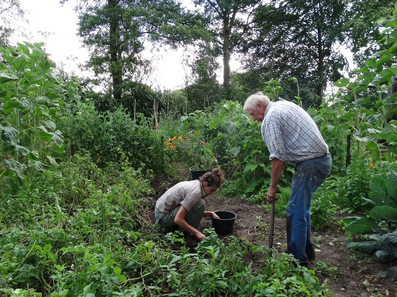 regionaal congres over bewonersinitiatieven