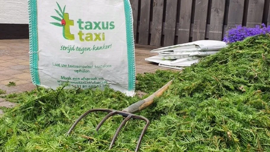 snoeisel met tas taxus taxi e1655730646120