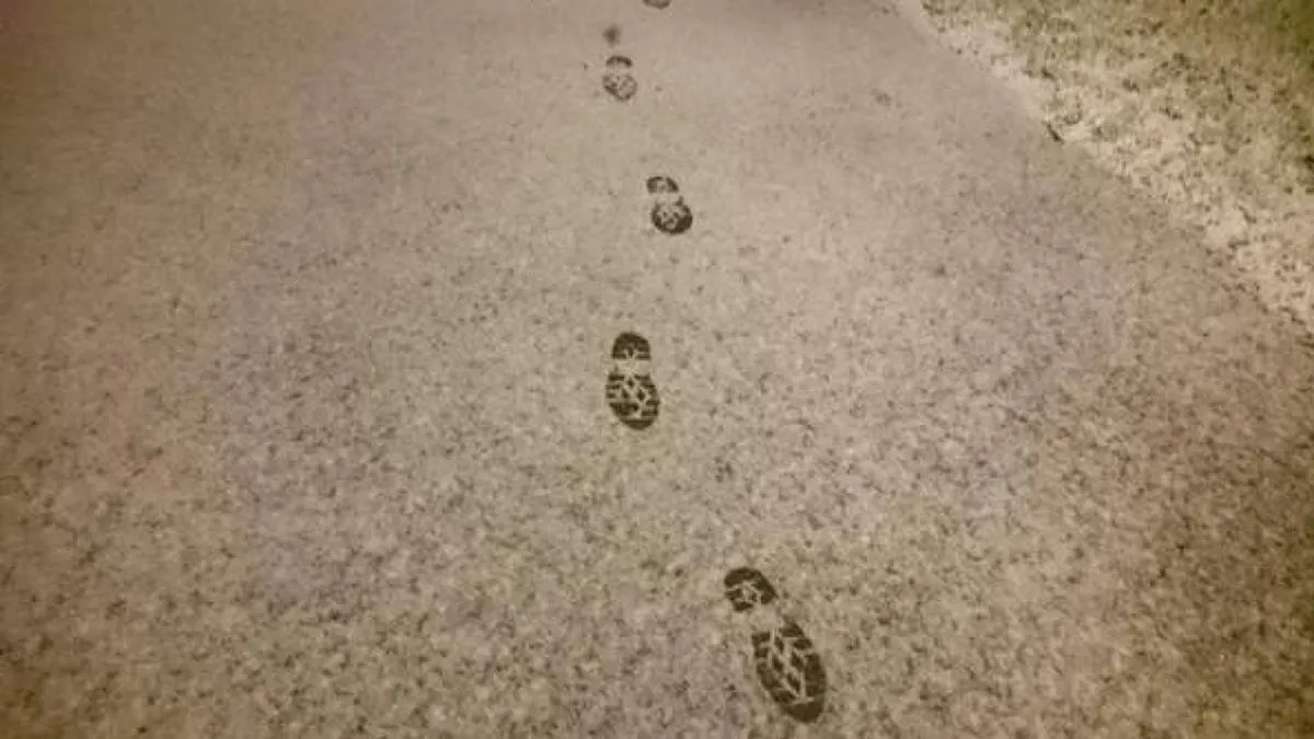 sporen sneeuw inbraken druten