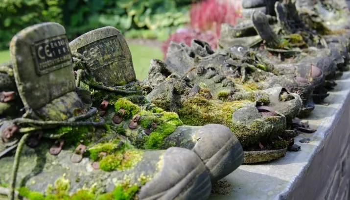 walking shoes 443376 960 720 715x408