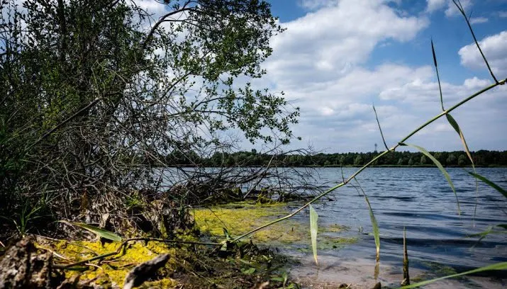 watertekort in zuid en oost nederland 715x408
