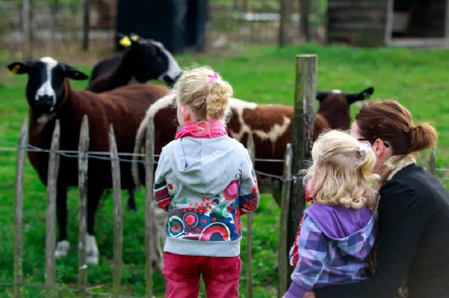 week van de pleegzorg