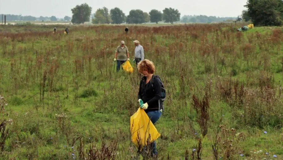 west maas en waal nieuws 17 middel 1 1024x683 1 915x518 1