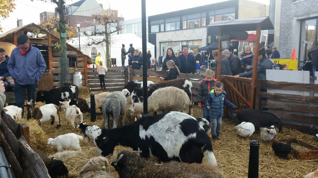 whatsapp image 2016 11 03 at 103842