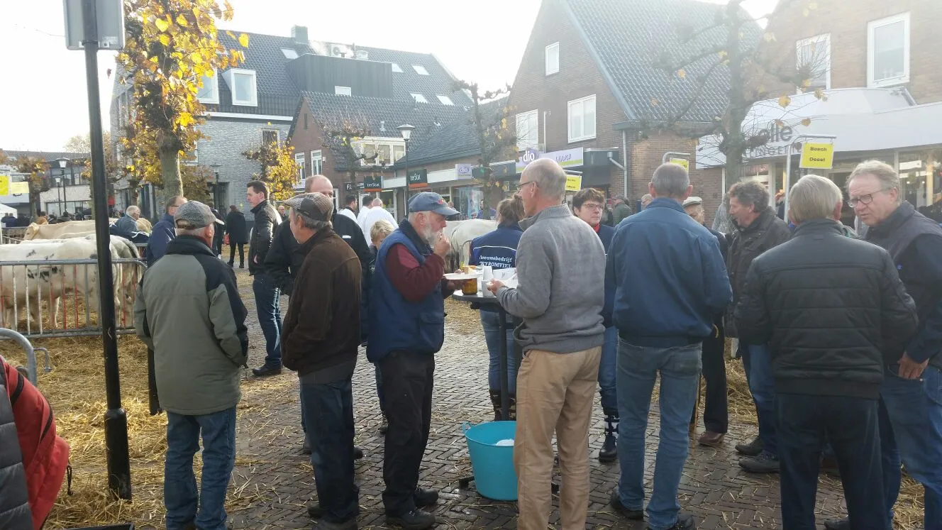 whatsapp image 2016 11 03 at 103846