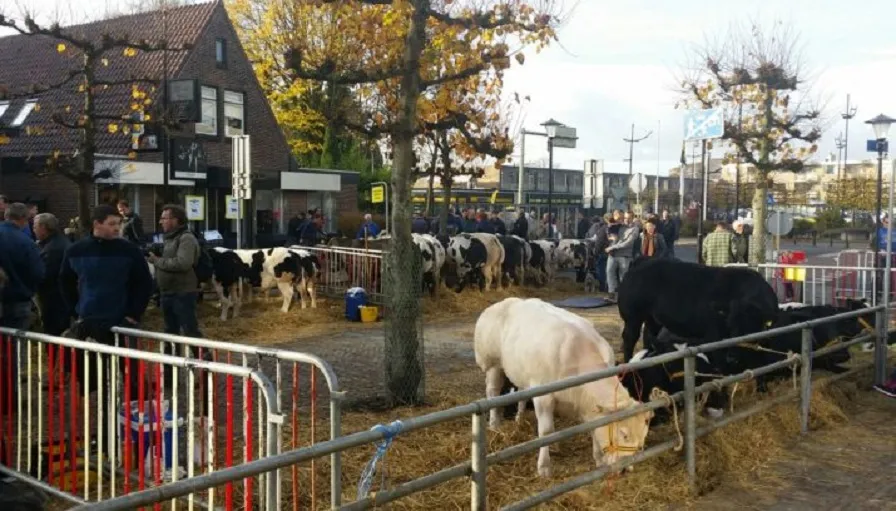 whatsapp image 2016 11 03 at 103847