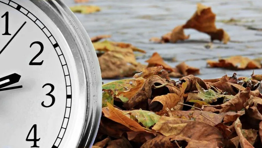 wintertime 2896572 1280 915x518 1 915x518 1