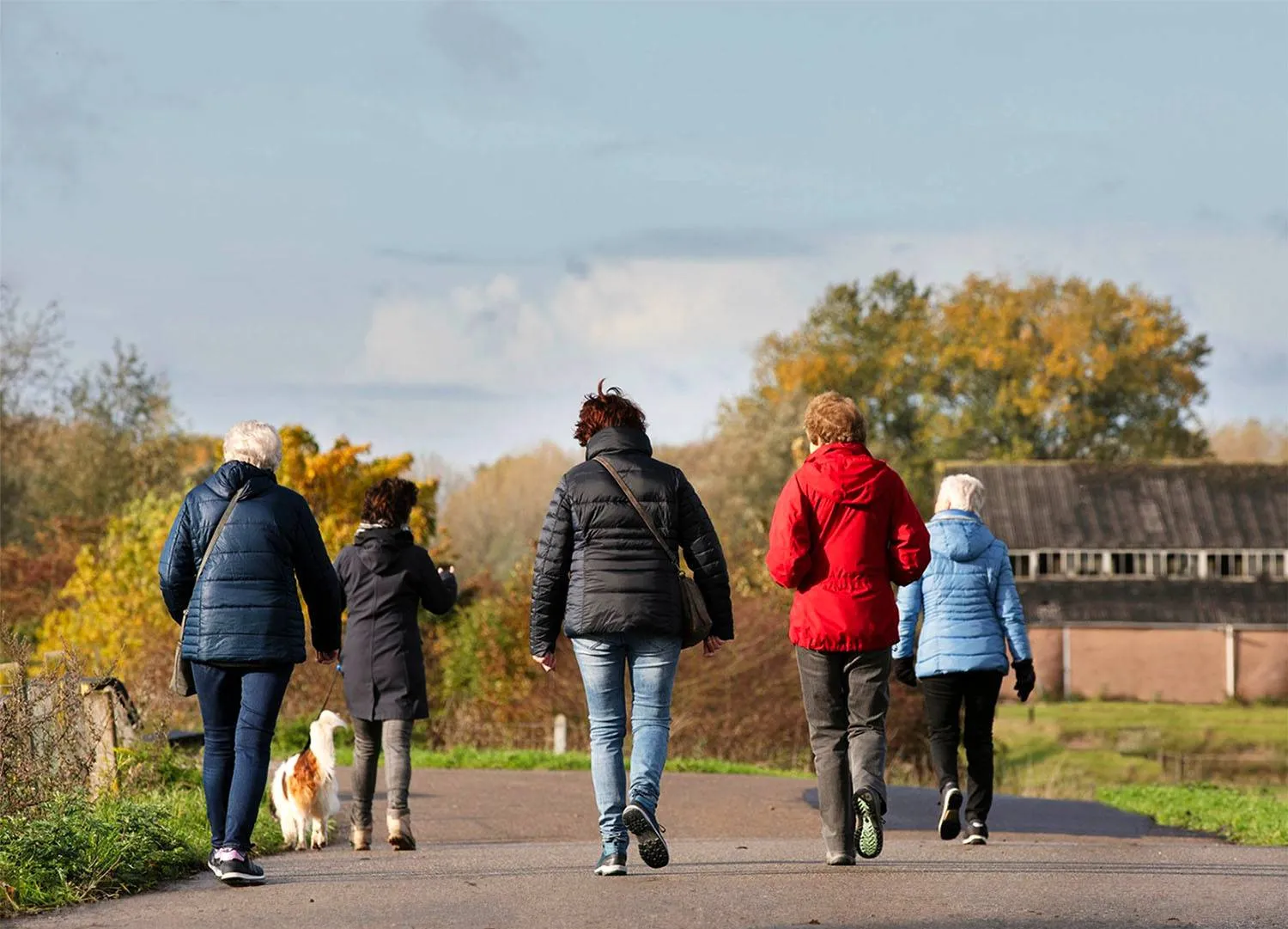 wandelcafe druten