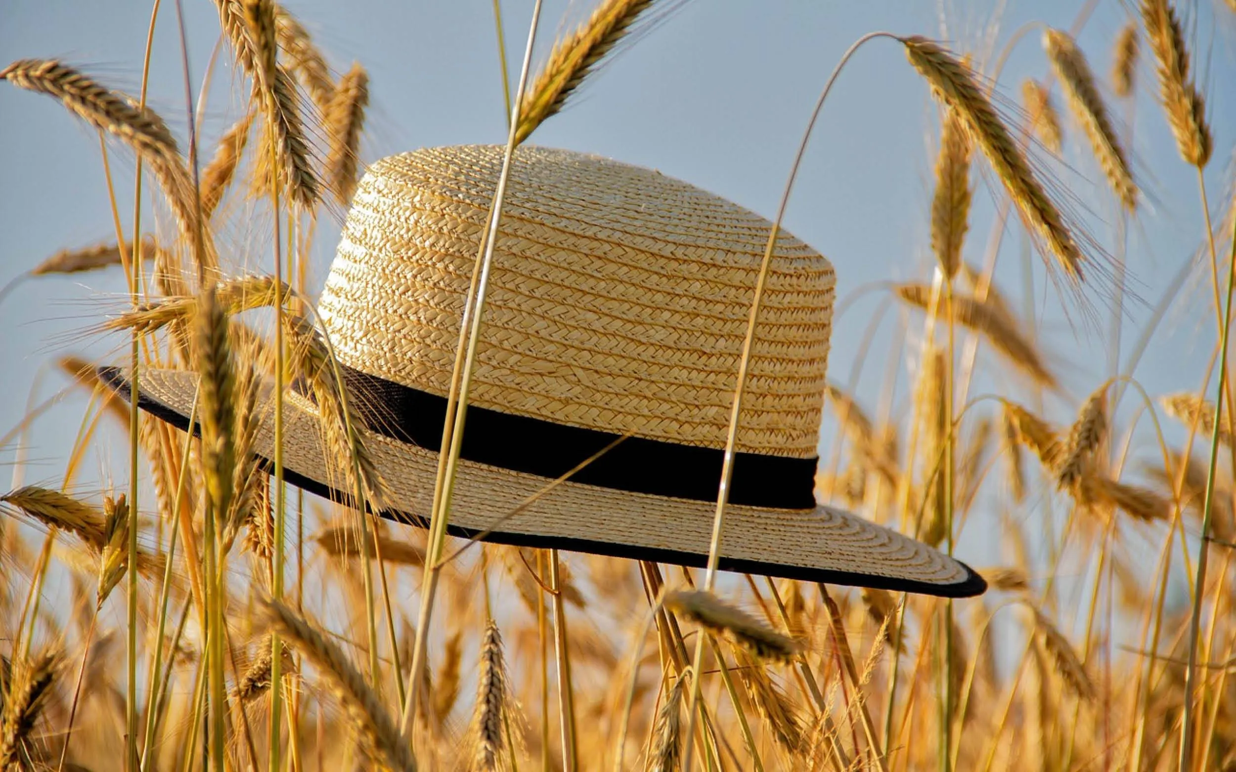 _Zomer-
