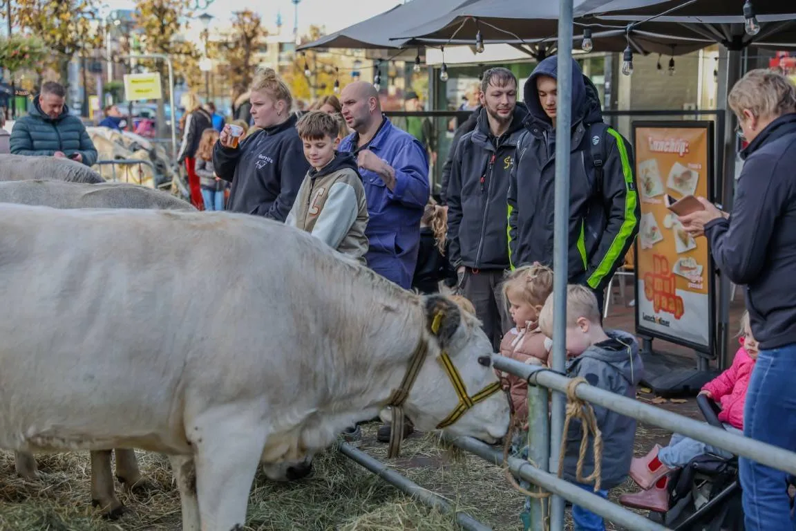 Leste Mert  (21) (Gemiddeld)