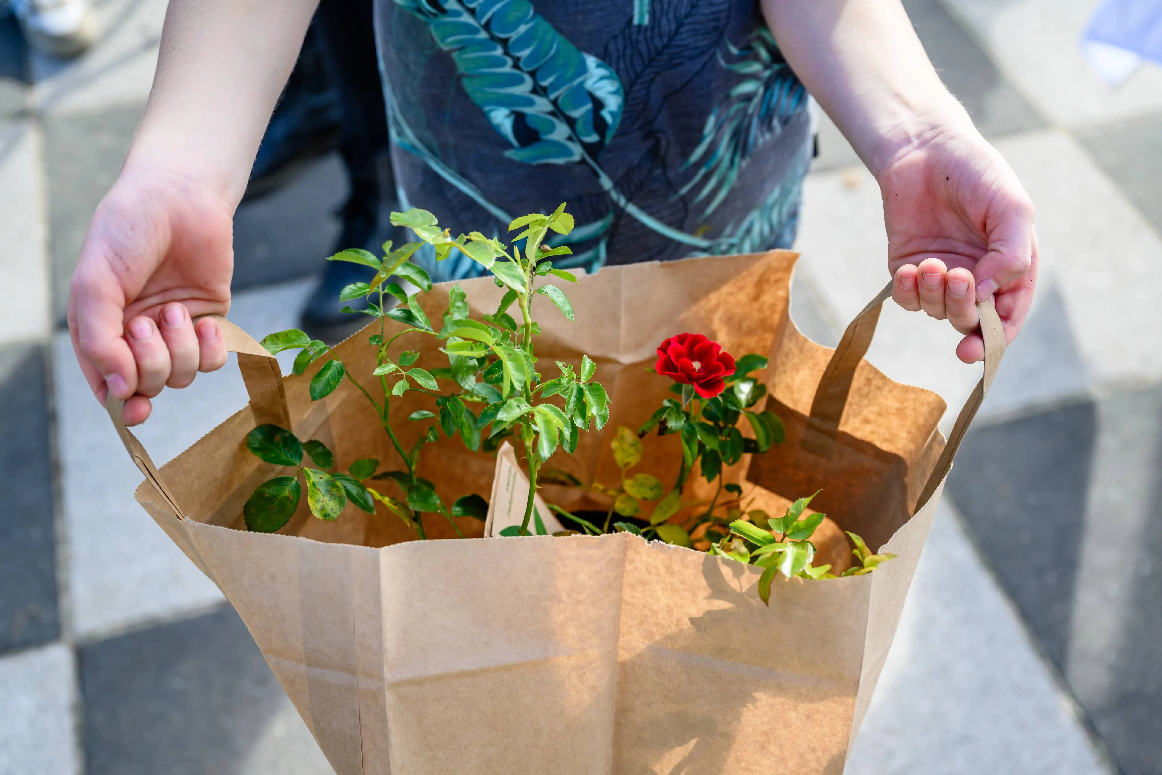 Tasje met zaden en bloembollen (Fotograaf Henk Hulshof) 2