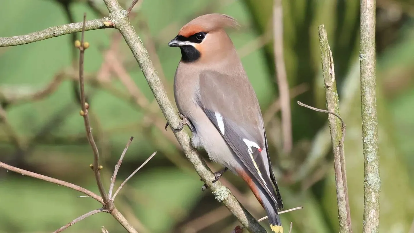 e2f76668-4591-4698-a98f-a40530771668