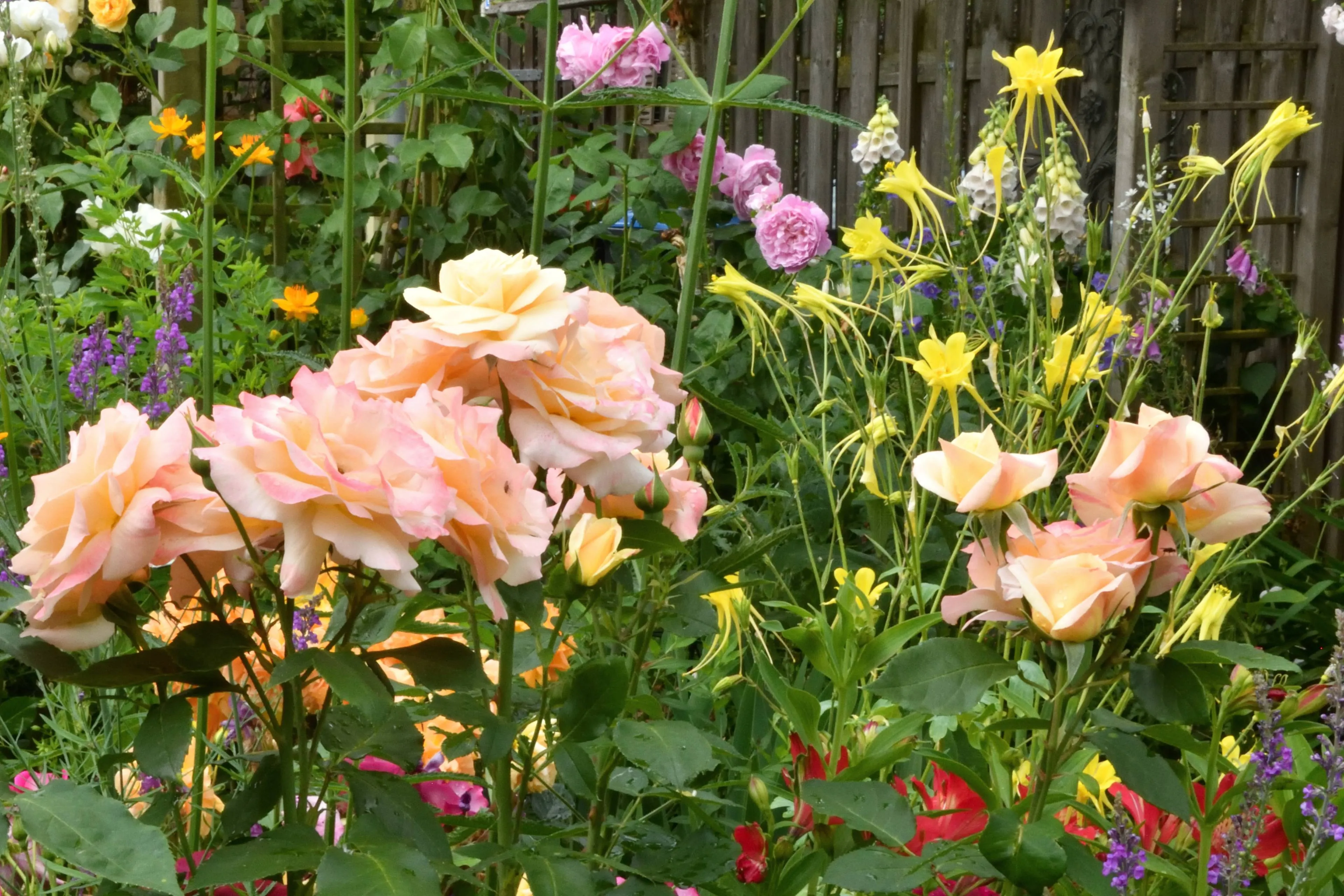 tuin Overasselt