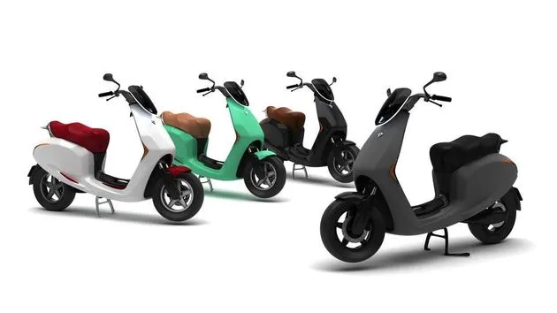 11017349 1654143998166215 5169591449580667534 n