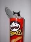 1110973197pringles