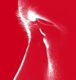 1133860701logolesblogs t