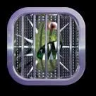 1145884644virus bloggers