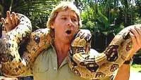 1157396966steveirwin