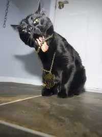 1173865823177091741 da93dd0272 o d 1