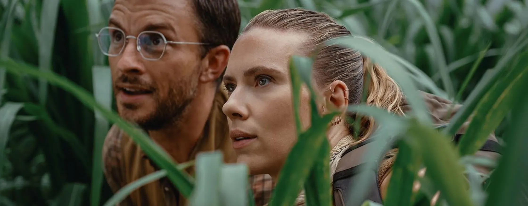 dc 2560 20250521 161259 0000