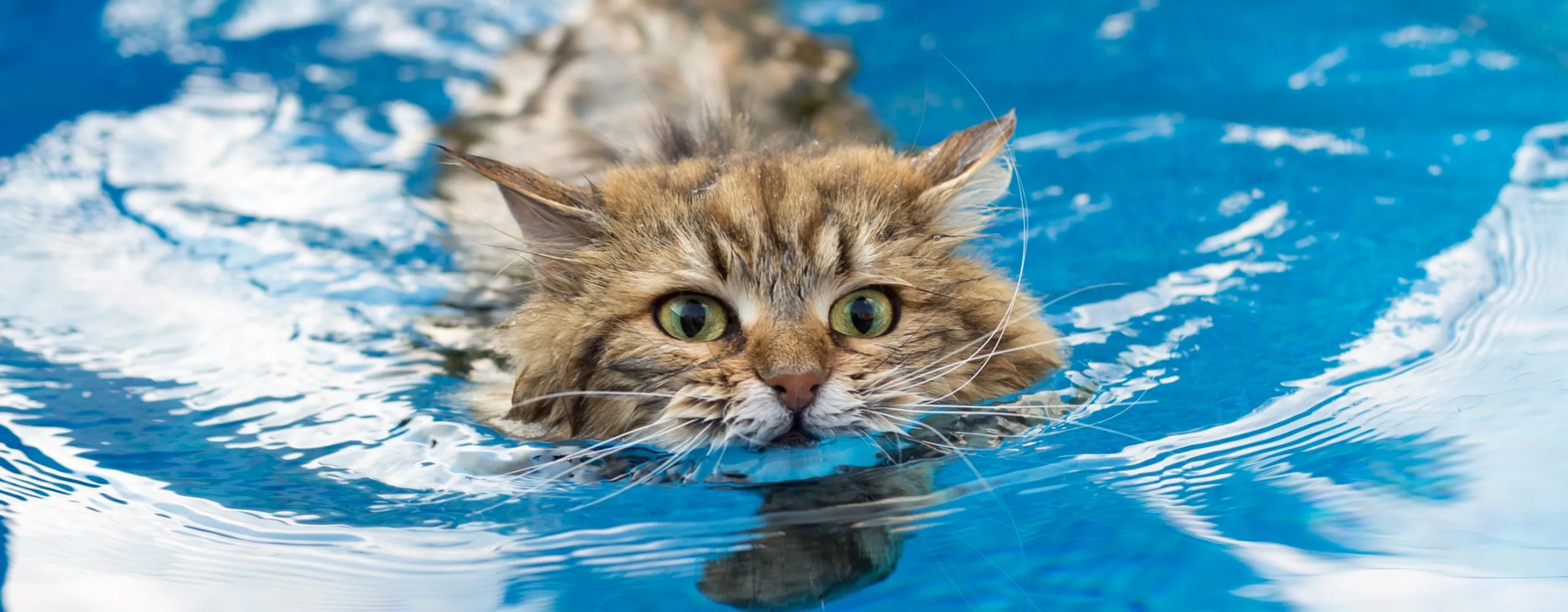 dc 2560 20250621 195407 0000