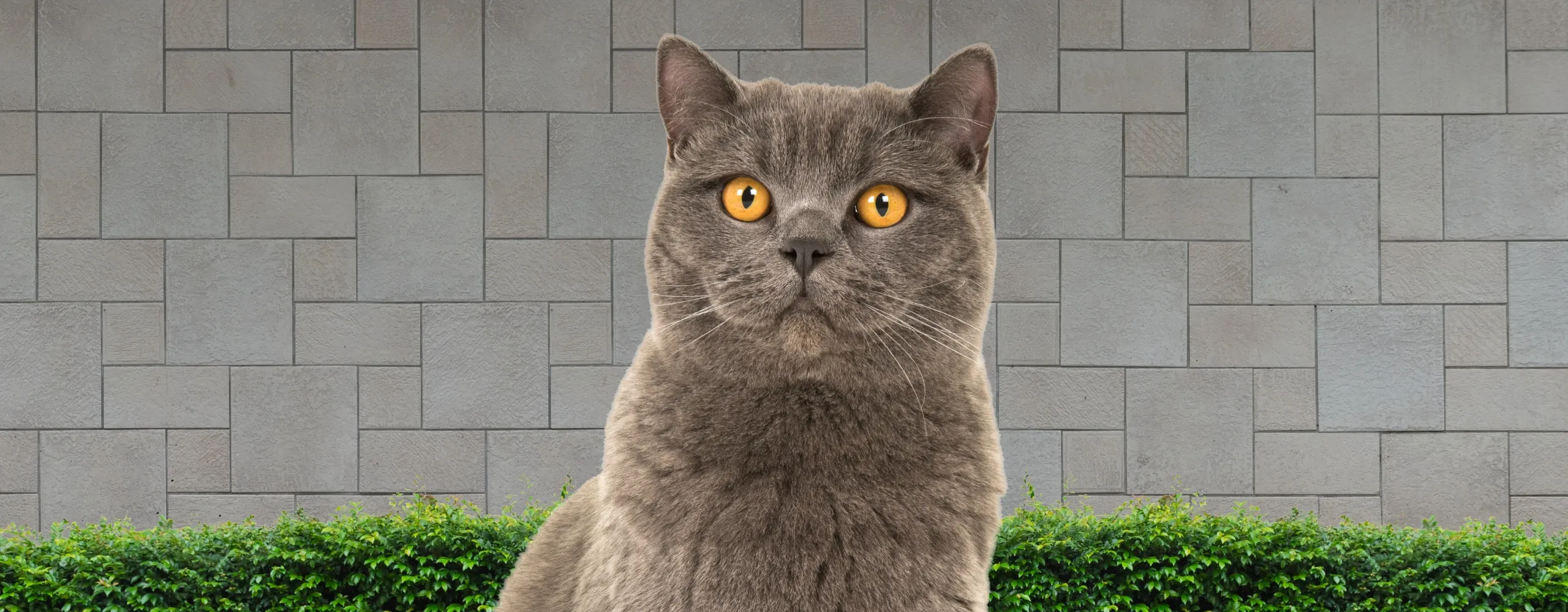 dc 2560 20251031 191908 0000