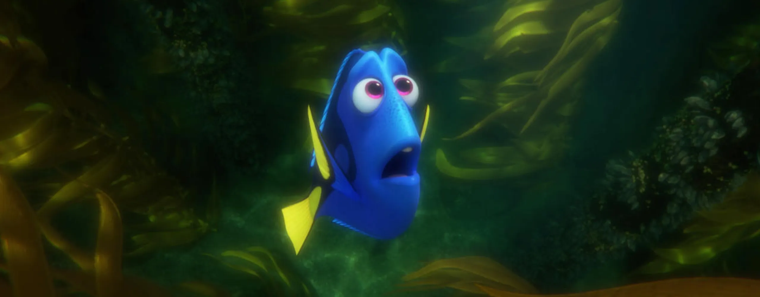 dory