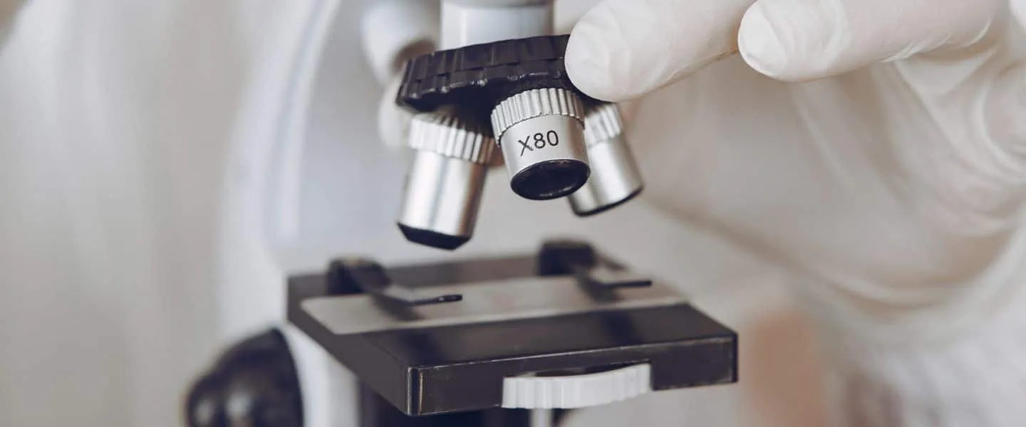 dutchcowboys header 20240523 130920 0000