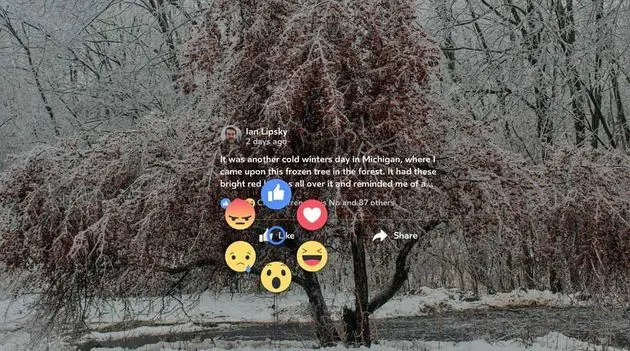 facebook reactions vr