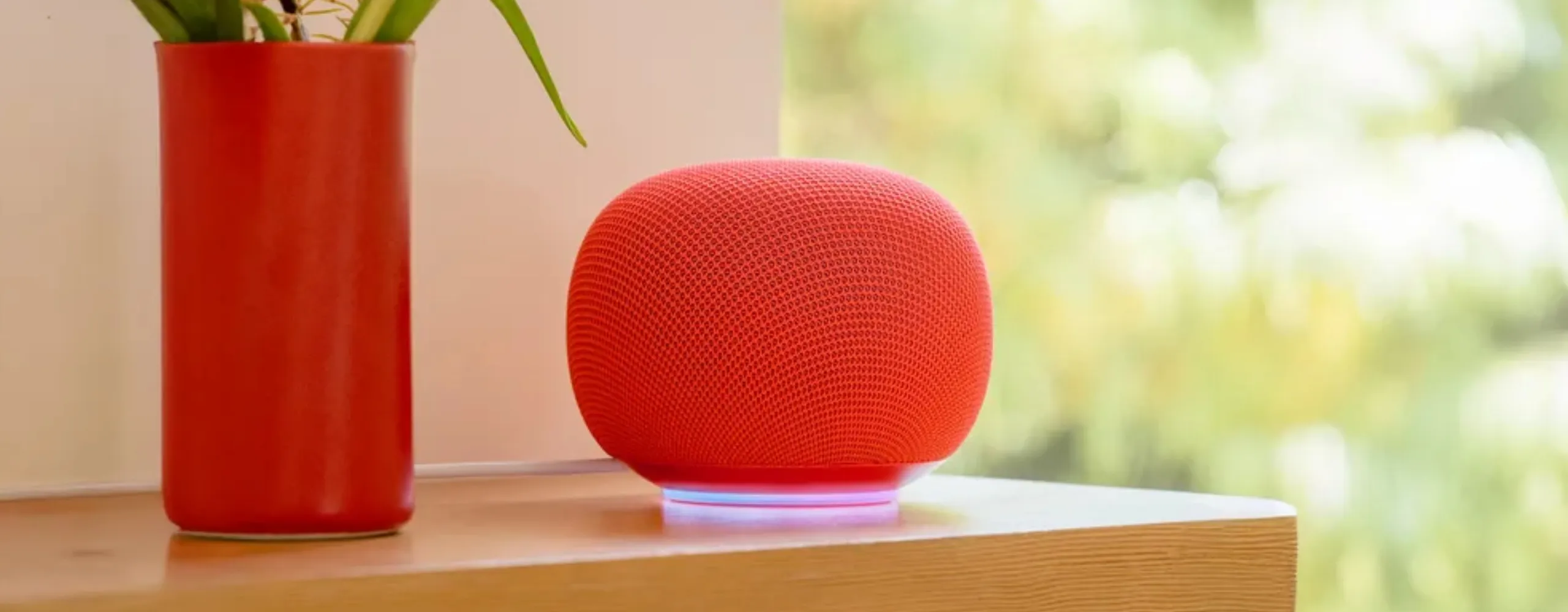 google speaker