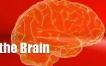 internetgebruik wijzigt hersenfuncties