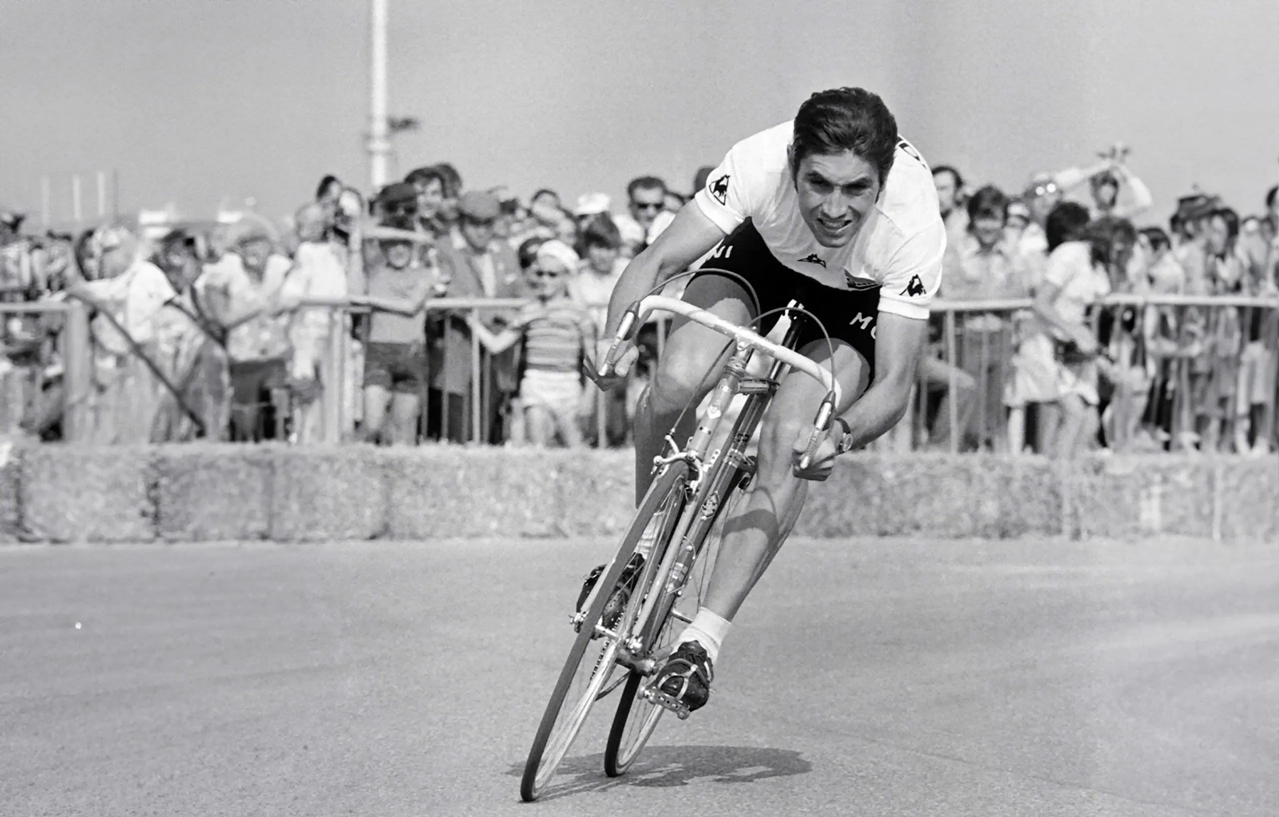 merckx 1