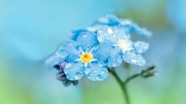 79150