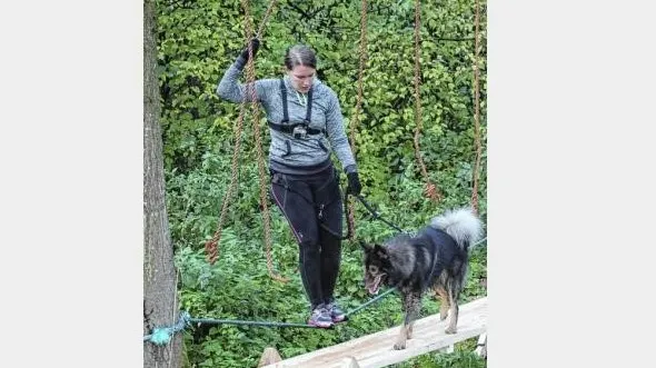 1hond sur