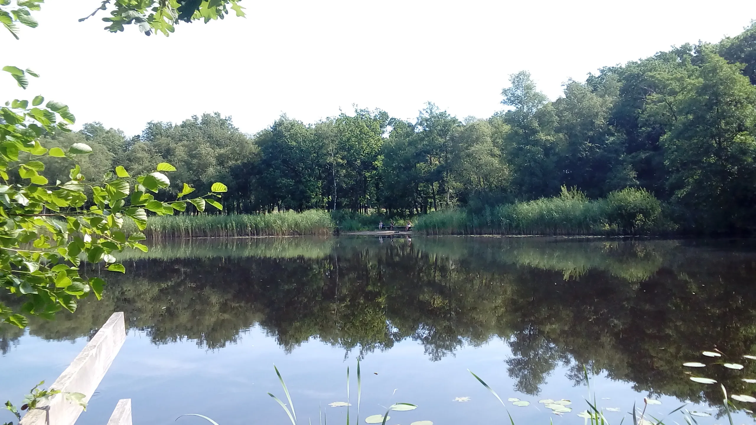 20180727 103244