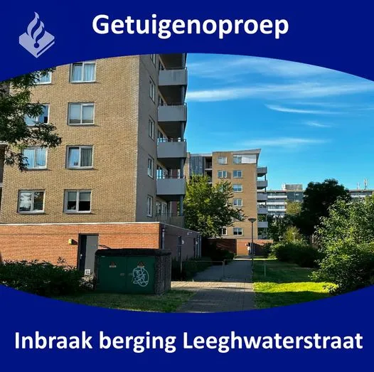 361838557 657583859737388 7496081317315572271 n