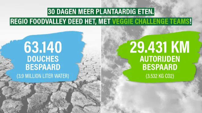 4427 e2266ee16916424a82aafe8ff13d96f7