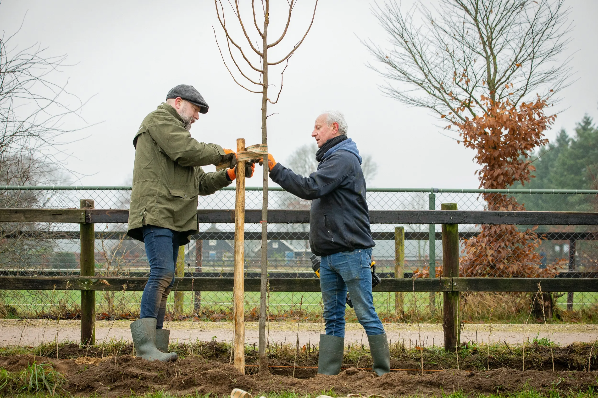 aanplant terbork in het groen bron david van haren 2