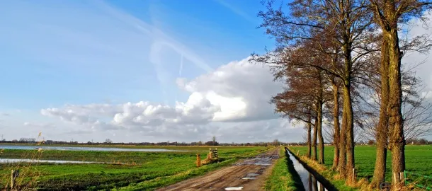 binnenveld ede