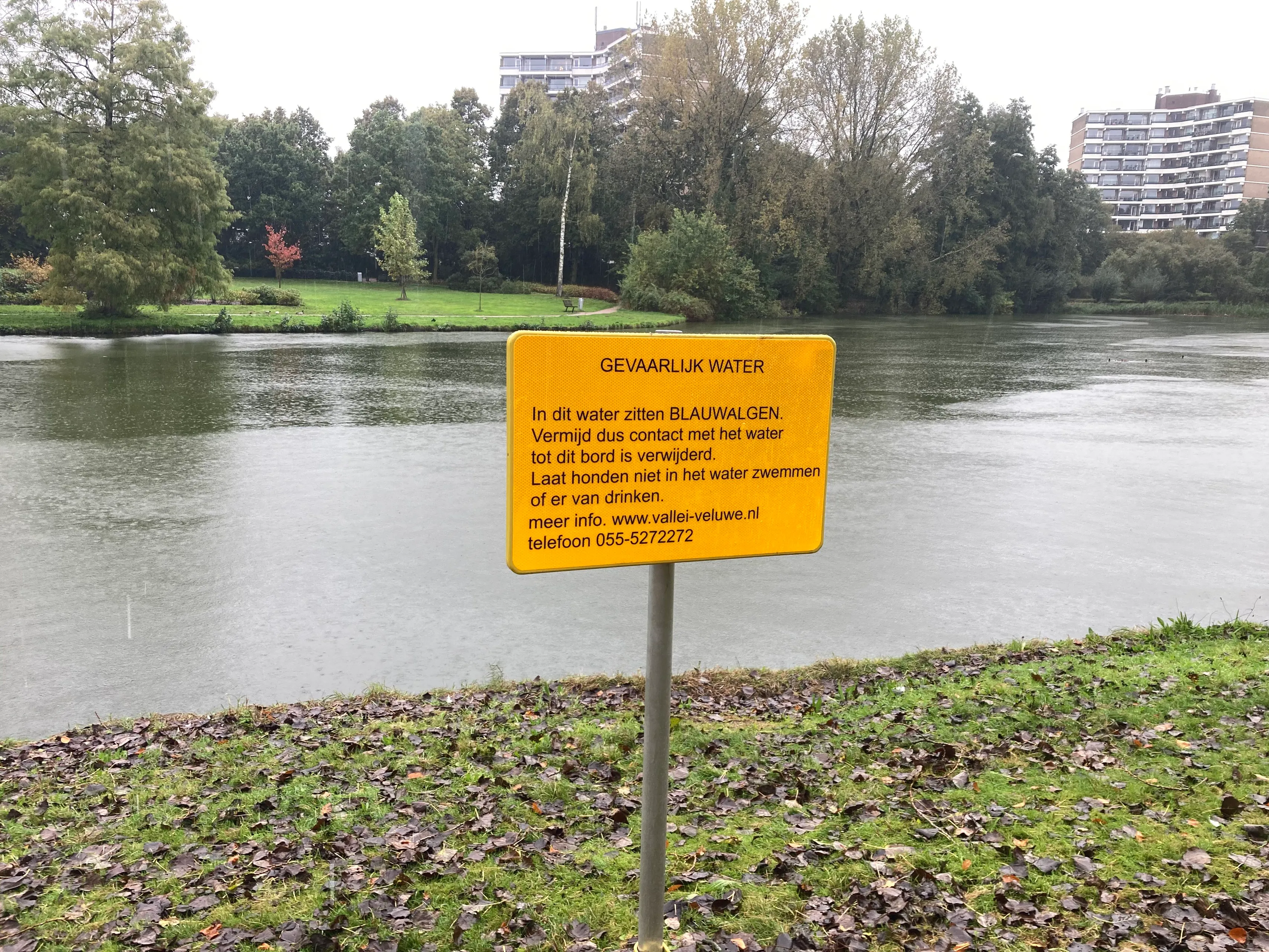 blauwalg proosdijvijver