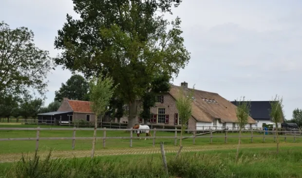 buitenstate wur