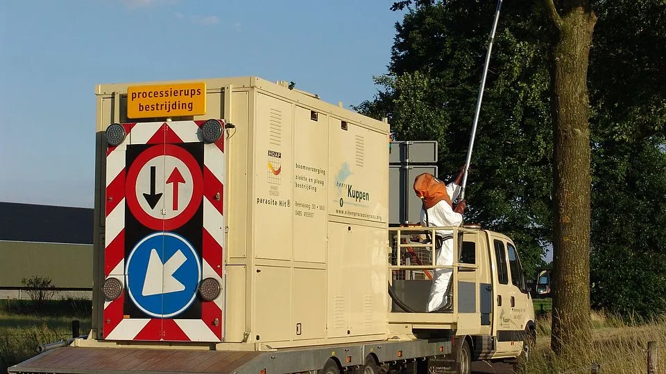 csm a eikenprocessierups ceb9576e9b