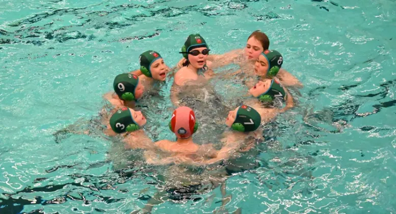 evelien ripke polar bears 3