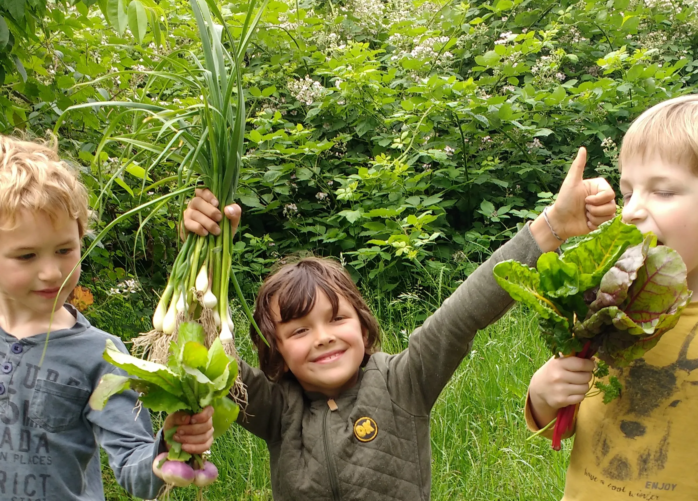 img 20190613 154344060 01