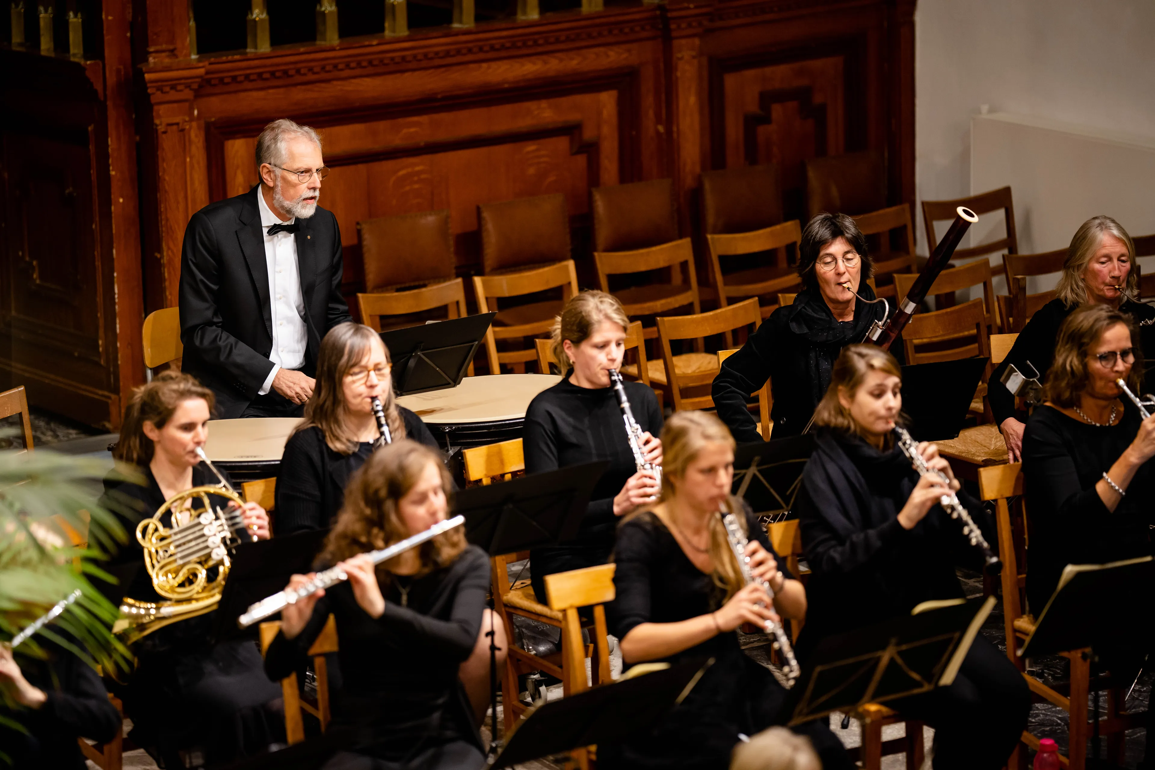 sjosjanim concert web 75