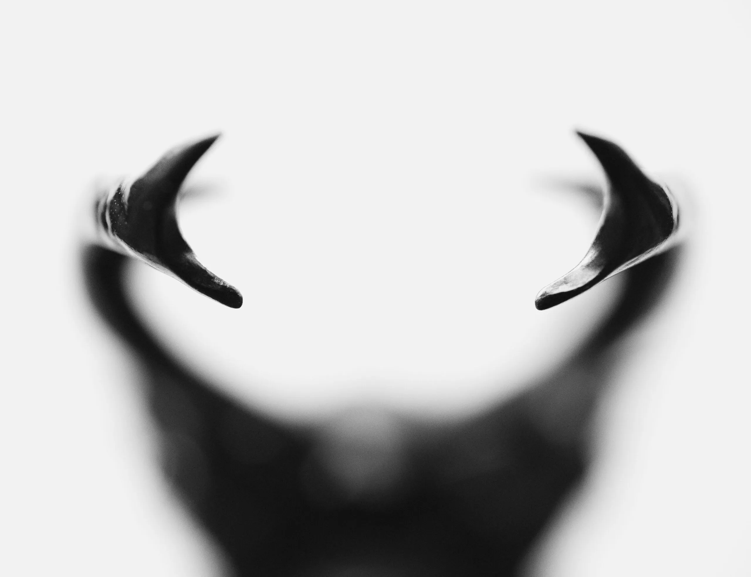 winnaar gelderse natuurfotowedstrijd 2022 sonja bohte bronvermelding verplicht scaled