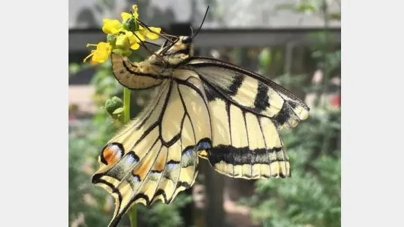 0ec0cd82 2487 44b3 919b e6194dd99461