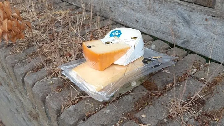 104024473 1748009248673514 3296891908189554668 o