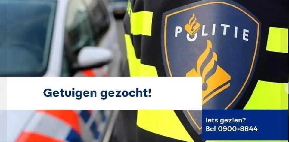 125185499 1892945214179916 3162125490685540965 n