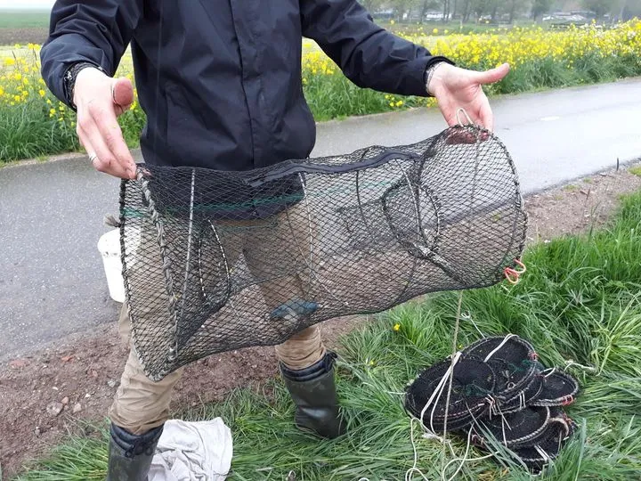 175892324 3920125224692157 8651658141084571199 n